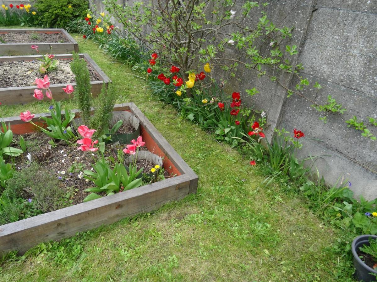 Maison D'Hotes Les Roses Tremieres Saclay Dış mekan fotoğraf