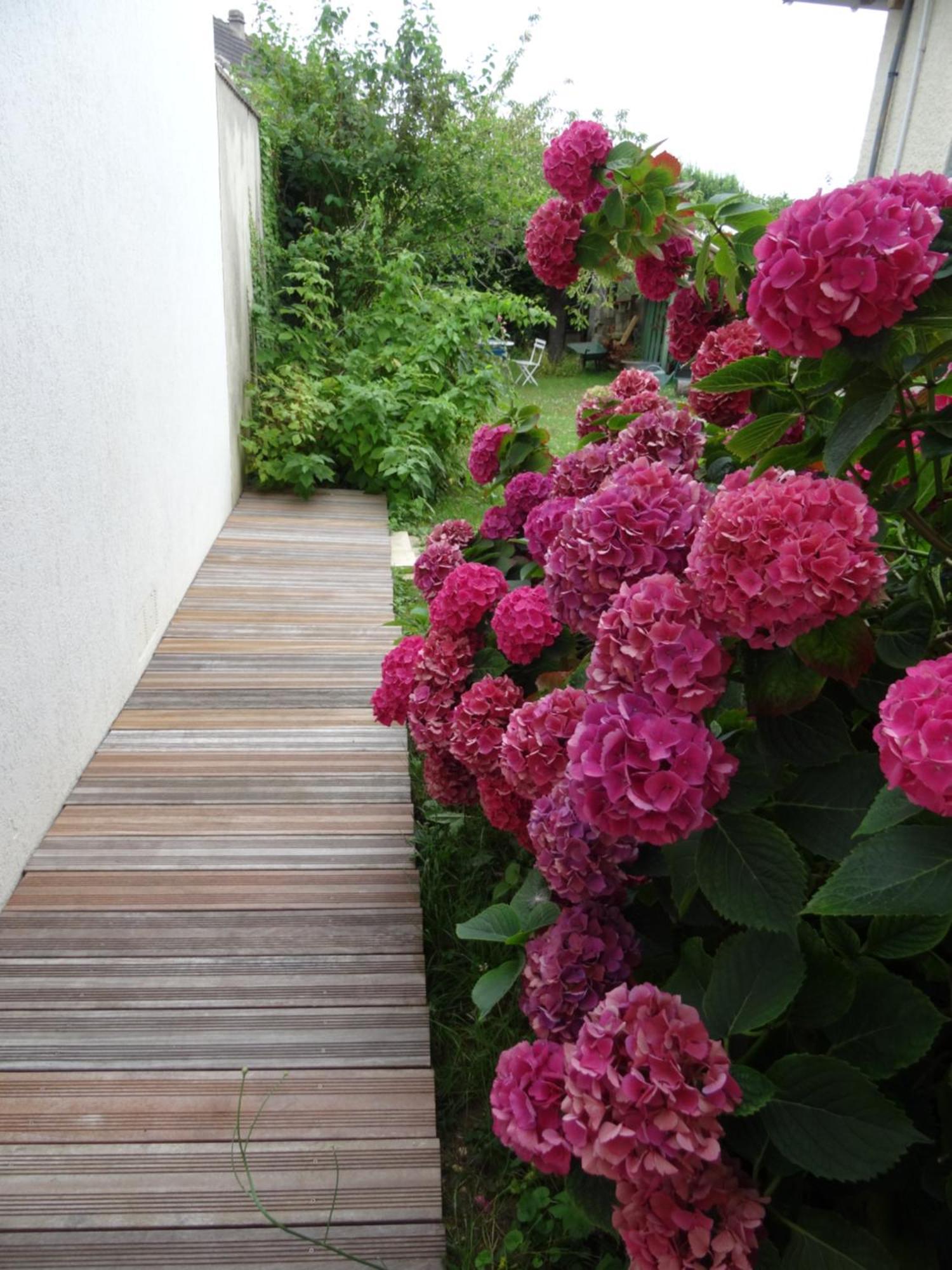 Maison D'Hotes Les Roses Tremieres Saclay Dış mekan fotoğraf